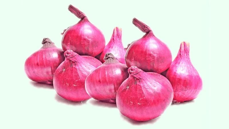 Vegetabel Onion
